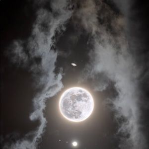 Meet your Posher, Will